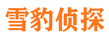 琼中侦探调查公司